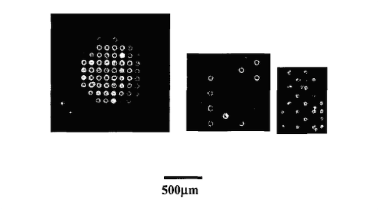 Low-contact-angle polydimethyl siloxane (PDMS) membranes for fabricating micro-bioarrays