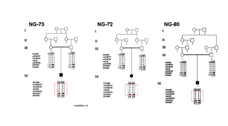 Novel NTRK1 mutations cause hereditary sensory and autonomic neuropathy type IV: demonstration of a founder mutation in the turkish population