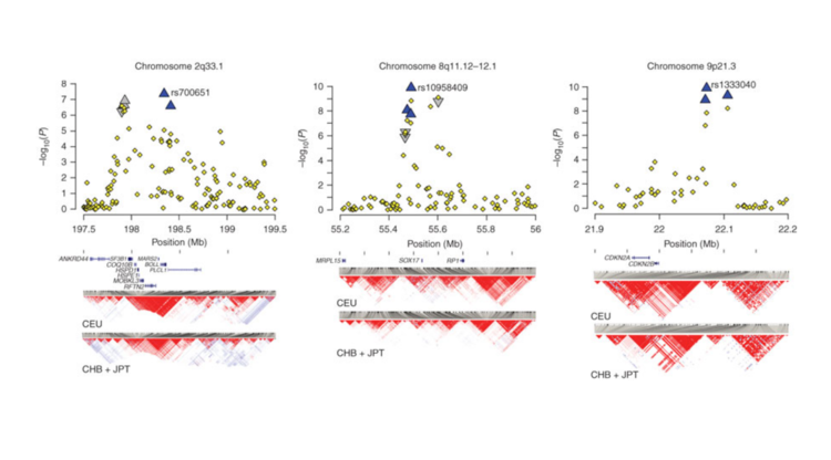 Susceptibility loci for intracranial aneurysm in european and japanese populations