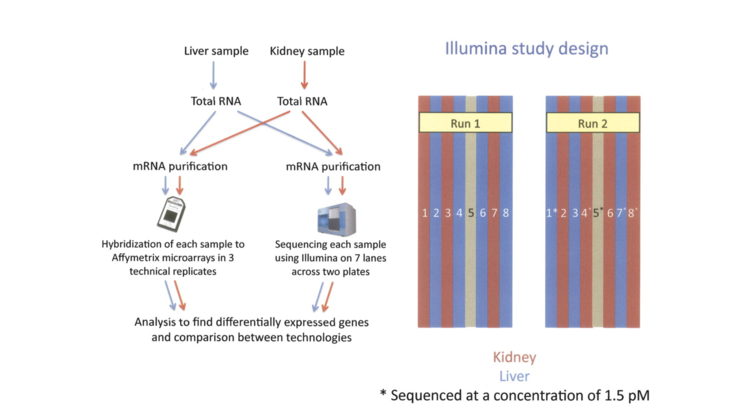 RNA-seq: an assessment of technical reproducibility and comparison with gene expression arrays